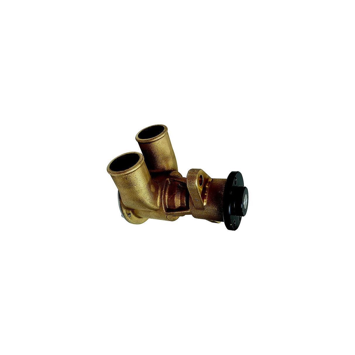 Johnson Pump 101361402 F6B-19 Flexible Impeller Pump - 10-13614-02