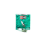 Champion Spark Plugs L6VC, #885M 12207 - L6VC - official Champion product image 3