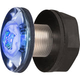 Hella Marine LED Livewell Lamp - Blue [998543031] - official Hella Marine product image 2