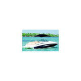 Taylor Made Products Taylor AnchorShade III With Powder Coated Aluminum Frame and 4-Point Height Adjuster 6' x 6' Includes Carrying Case - 2020108768 - official Taylor Made product image 2