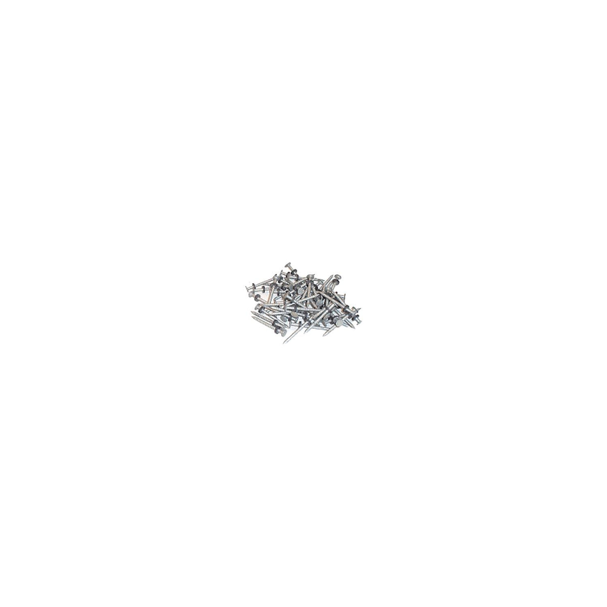 Taylor Made Taylor 96028 Galvanized #6 Nails w/Washers 1/8# 12/Cd - 2020108556 - image 1