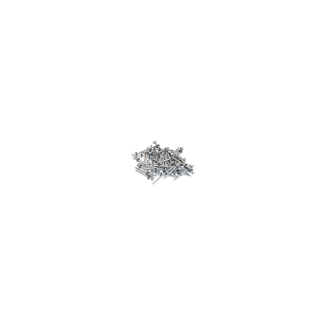 Taylor Made Taylor 96028 Galvanized #6 Nails w/Washers 1/8# 12/Cd - 2020108556 - image 1