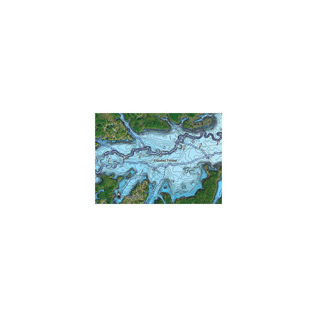 Garmin 010C129100 Navionics Vision+™ for Garmin, U.S. East