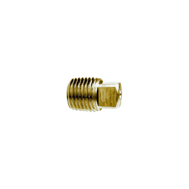 Brass Fittings 1/2 Brass Sq Head Pipe Plug - 28087 - image 1