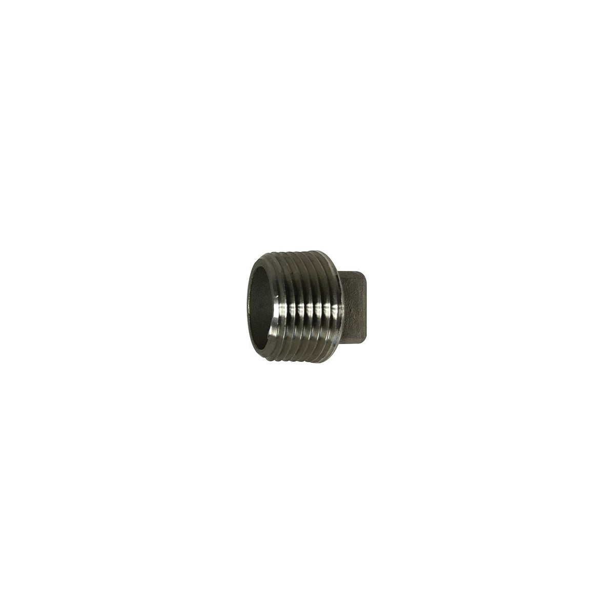 Brass Fittings 3/4 304 SOLID PLUG SS - 64-674 - image 1