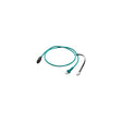 Mastervolt 77060500 Mastervolt CZone Drop Cable, 5m - image 1