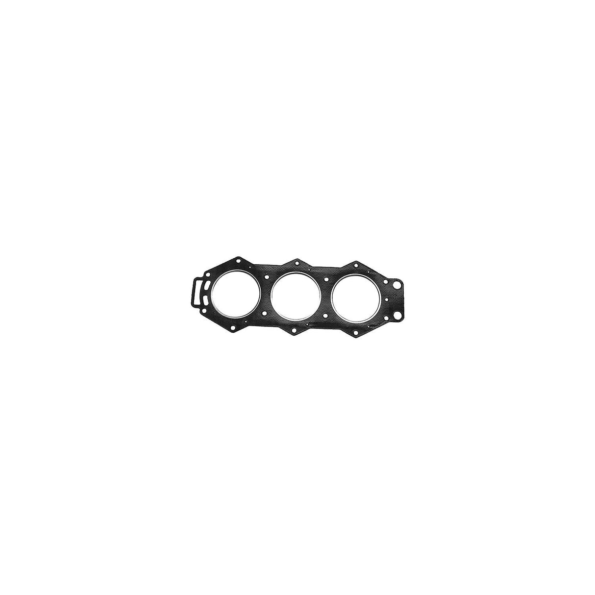 Sierra Head Gasket - 18-3894
