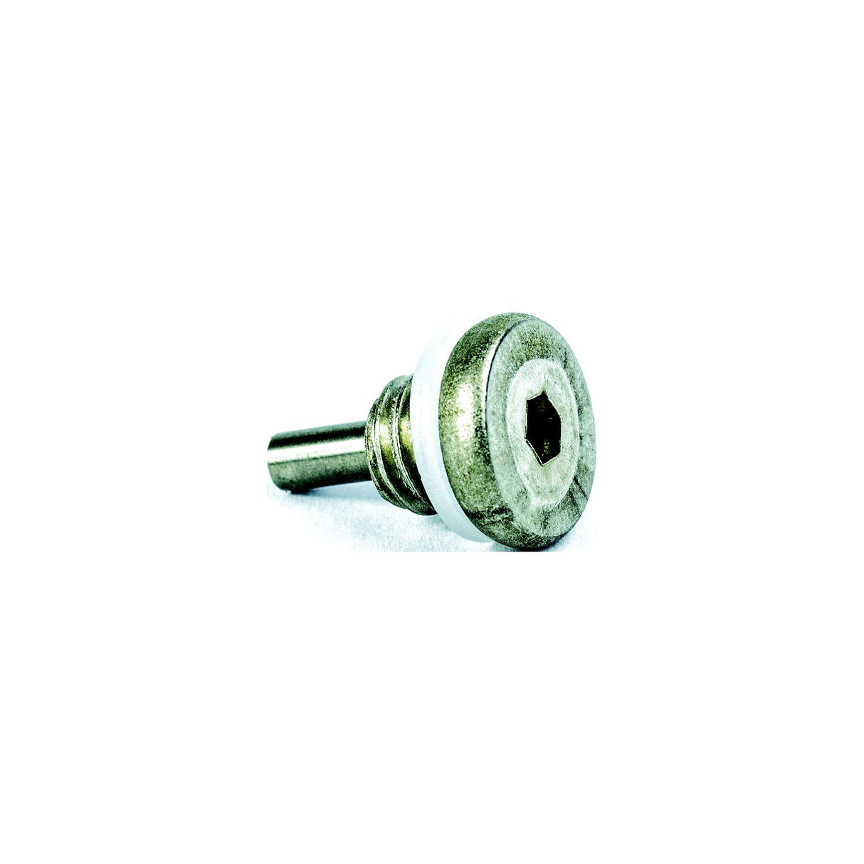 Sierra E-Tec Drain Screw W Magnet - 18-4249