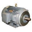 Worldwide Electric Premium Efficiency Severe Duty Motors (3 HP, 1800 RPM) - PEWWE3-18-182T - image 1