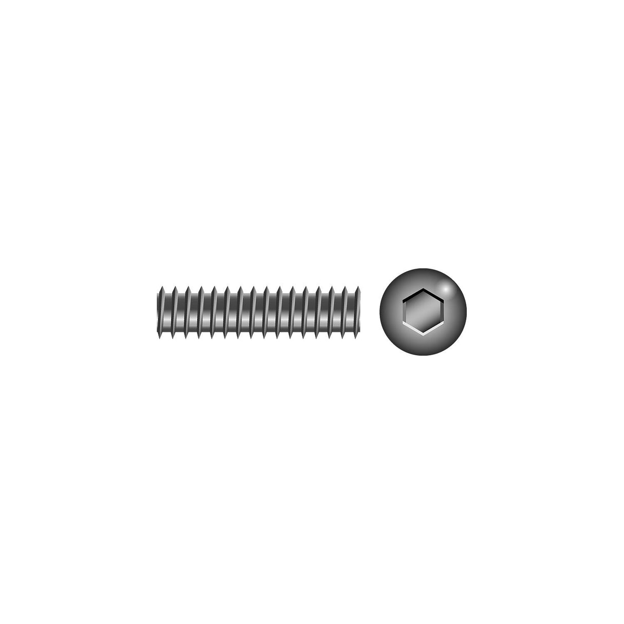 Seachoice Socket Set Screw 1/4"-28 x 3/16 - RP-SC1478