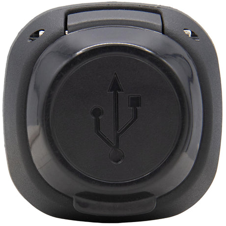 Seachoice 14998 Dual-Port USB Charging Socket - image 4