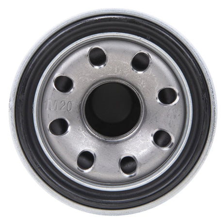 Seachoice 21013 Full-Flow Oil Filter - C-16054-V106 - image 4