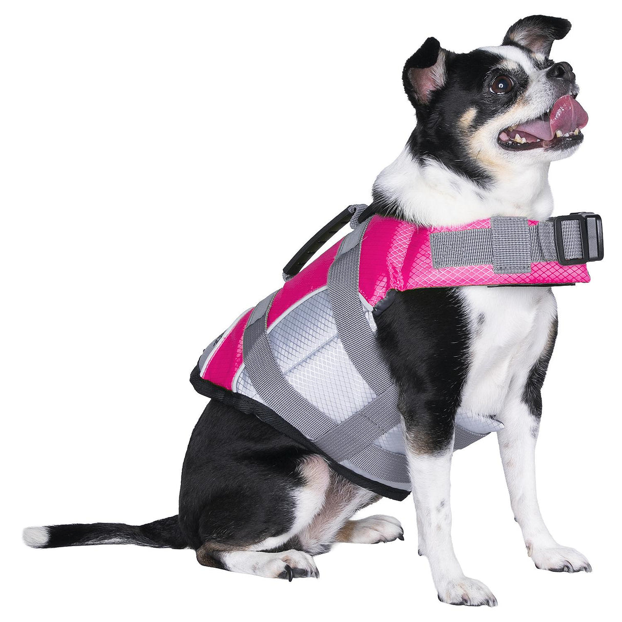 Seachoice 86261 Dog Life Jacket, Color: Pink, Size: XS - image 3
