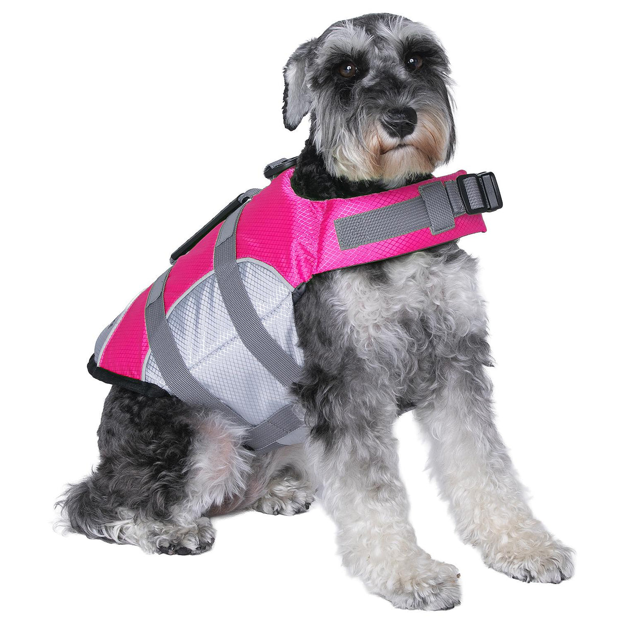 Seachoice 86262 Dog Life Jacket, Color: Pink, Size: S - image 5