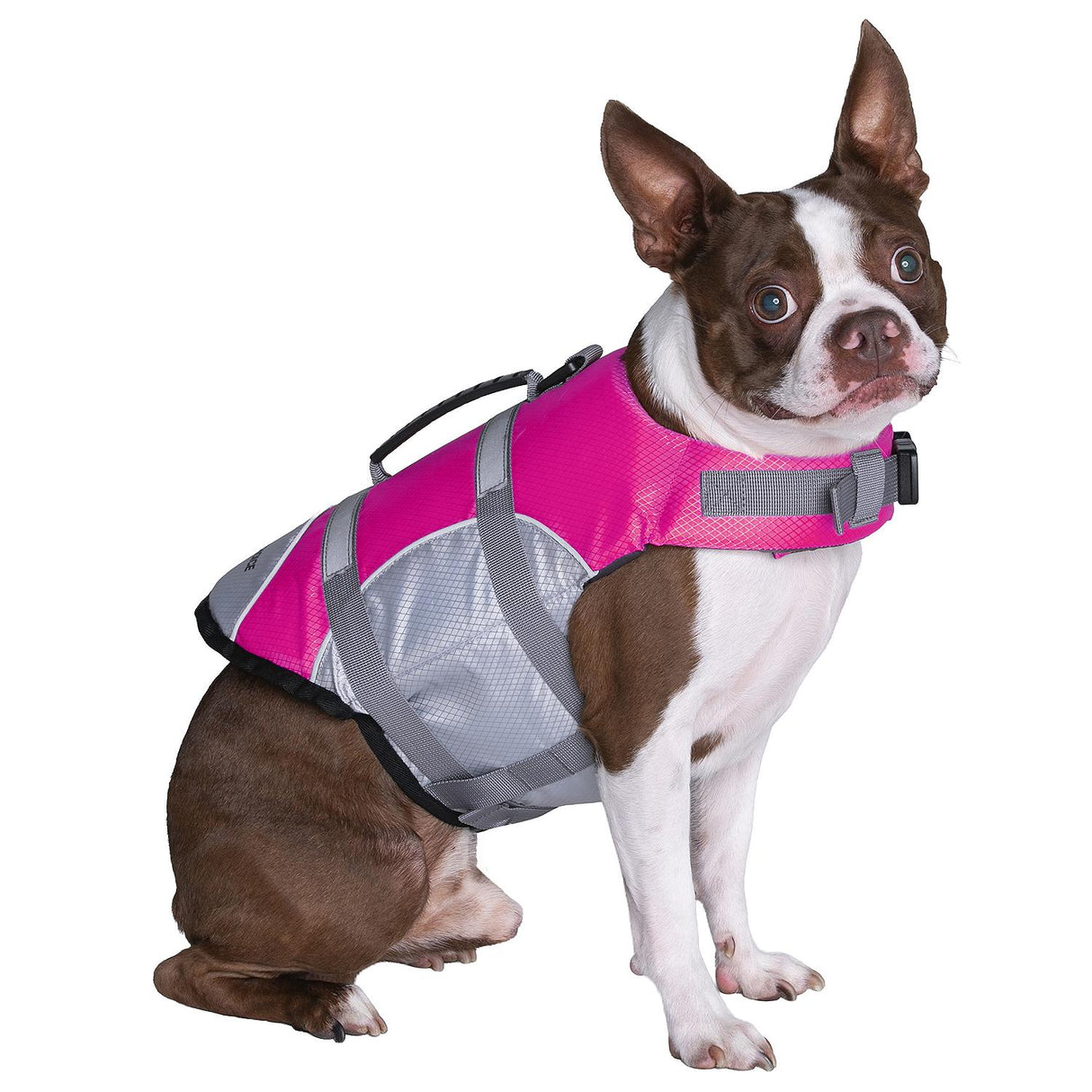 Seachoice 86263 Dog Life Jacket, Color: Pink, Size: M - image 4