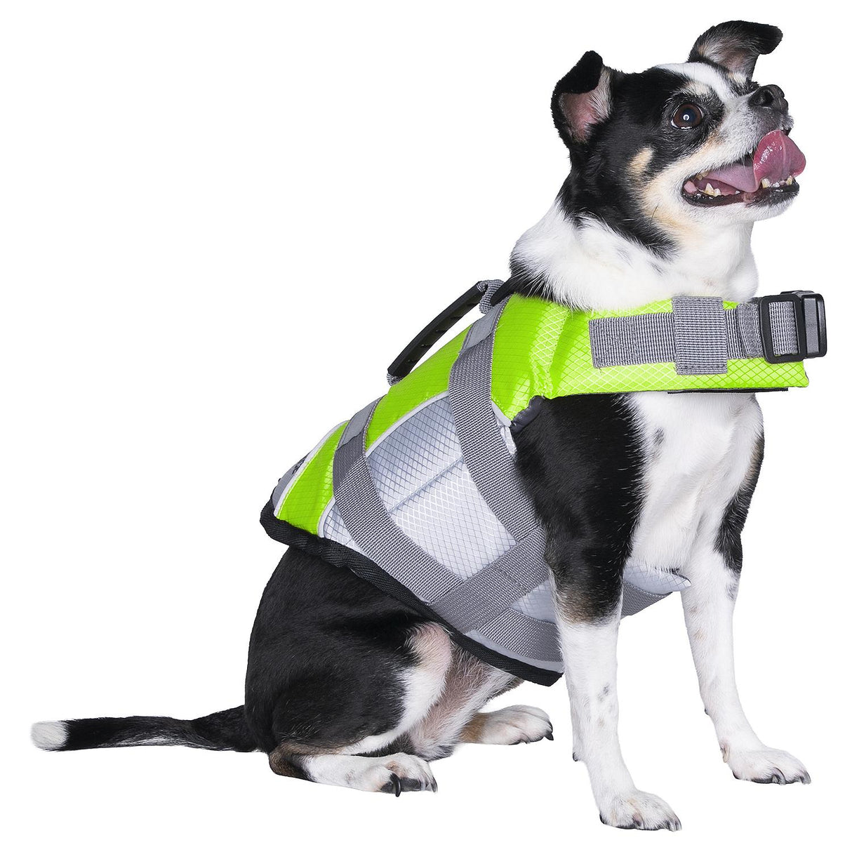 Seachoice 86281 Dog Life Jacket, Color: Green, Size: XS - image 4