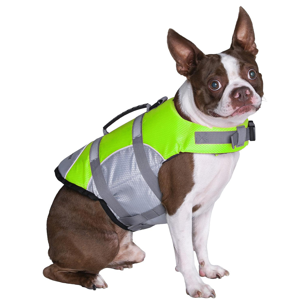 Seachoice 86283 Dog Life Jacket, Color: Green, Size: M - image 2