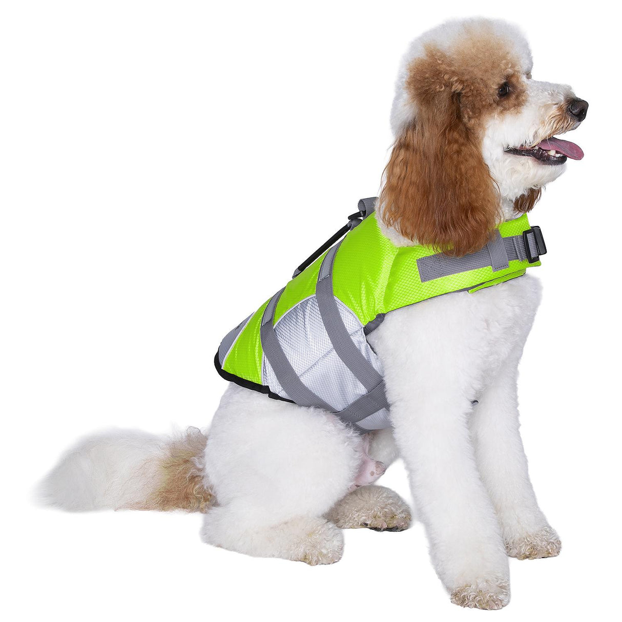 Seachoice 86284 Dog Life Jacket, Color: Green, Size: L - image 3