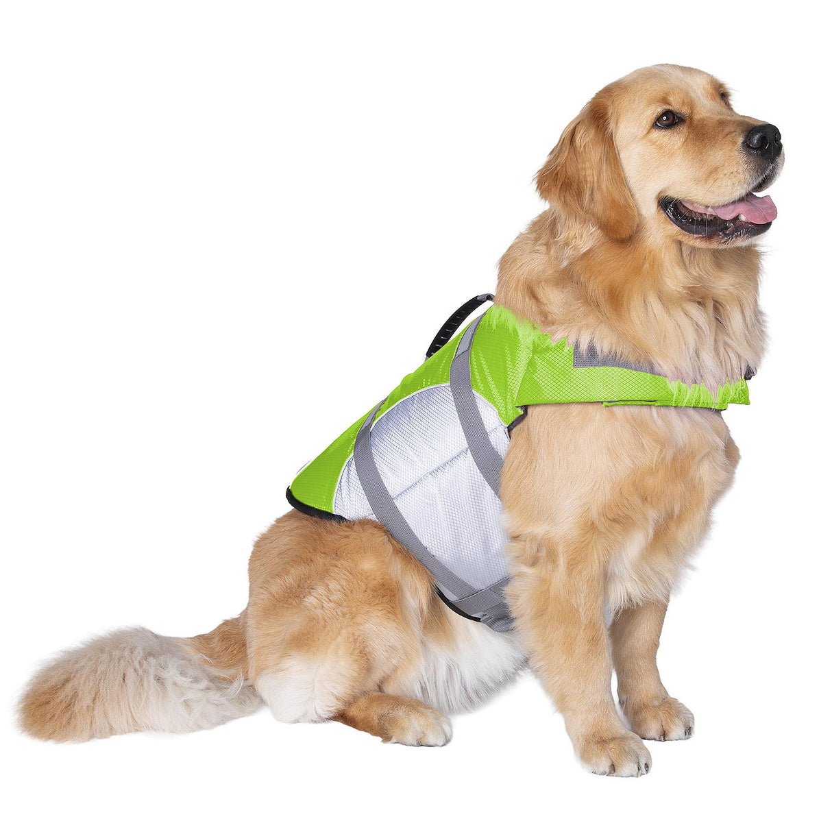 Seachoice 86285 Dog Life Jacket, Color: Green, Size: XL - image 2