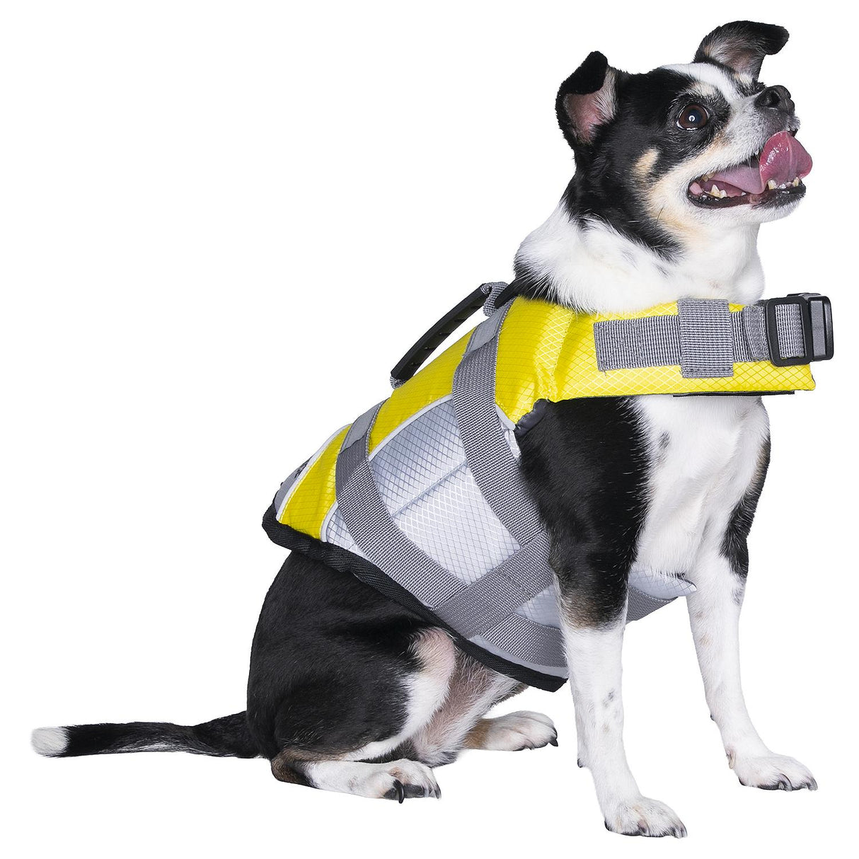 Seachoice 86291 Dog Life Jacket, Color: Yellow, Size: XS - image 5