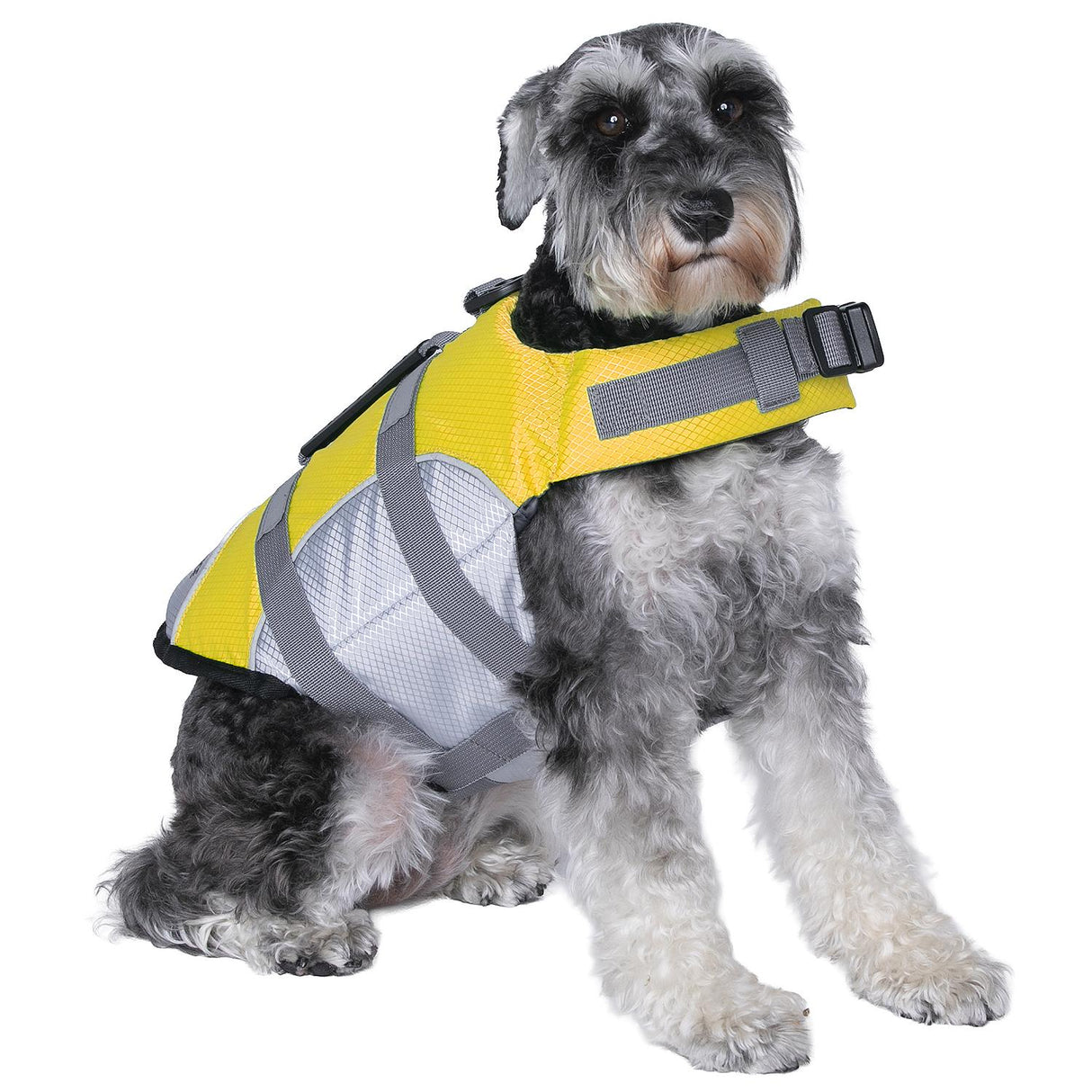 Seachoice 86292 Dog Life Jacket, Color: Yellow, Size: S - image 5