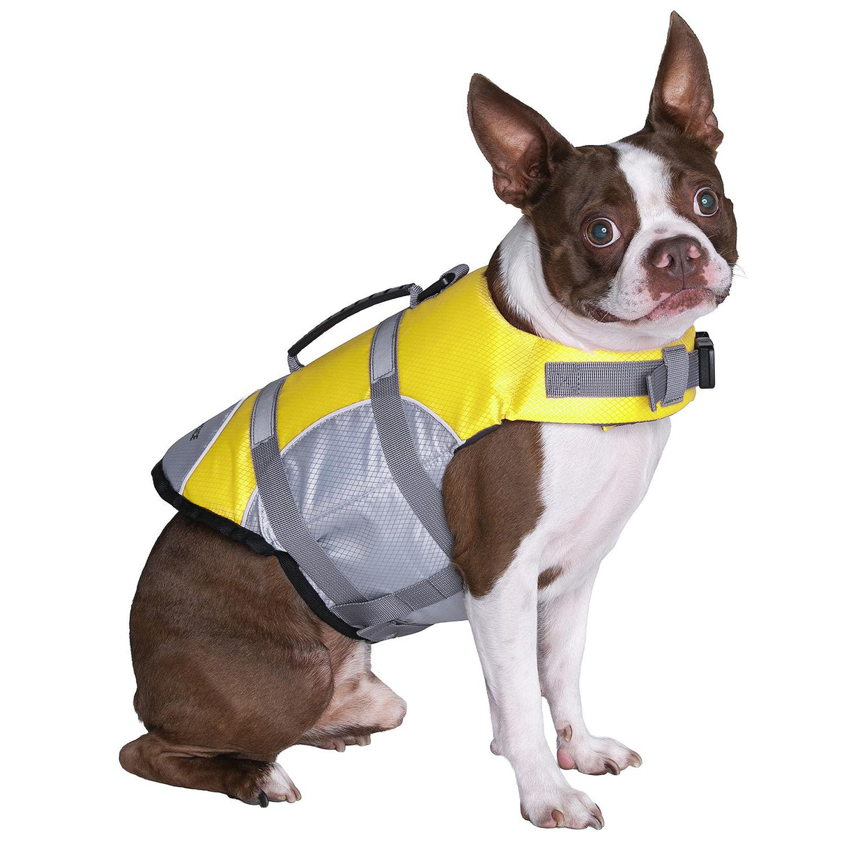 Seachoice 86293 Dog Life Jacket, Color: Yellow, Size: M - image 2