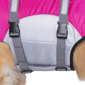Seachoice 86294 Dog Life Jacket, Color: Yellow, Size: L - image 1