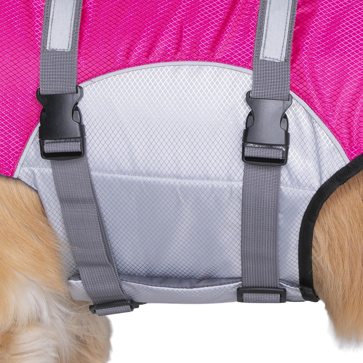 Seachoice 86293 Dog Life Jacket, Color: Yellow, Size: M - image 6
