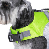 Seachoice 86293 Dog Life Jacket, Color: Yellow, Size: M - image 9