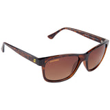 Seachoice 98833 "Oceanbreeze" Polarized Ladies' Sunglasses, Frame: Shiny Tortoise, Lens: Brown Gradient - YP120073000000 - image 1