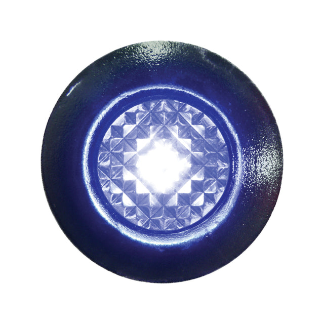 Seasense L.E.D. Crystal Livewell Light (Diameter 1-1/4", Blue L.E.D.s.) - 50023823 - image 1