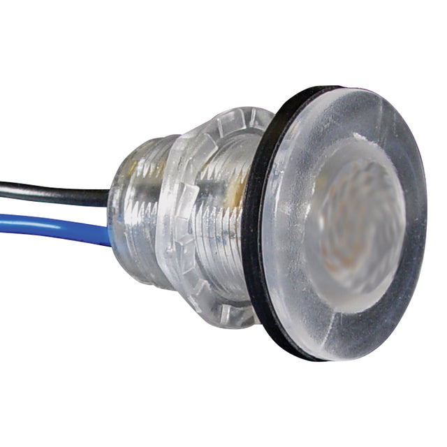 Seasense L.E.D. Frosted Livewell Light (Diameter 1-1/4", Red L.E.D.s.) - 50030002 - image 1