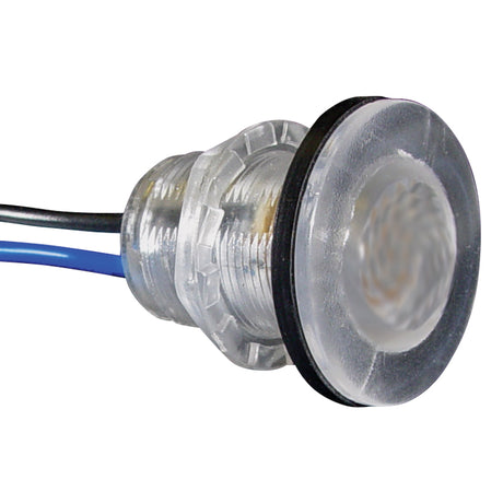 Seasense L.E.D. Frosted Livewell Light (Diameter 1-1/4", White L.E.D.s.) - 50030003 - image 1