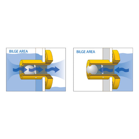 Seasense Brass One-Way Safety Plug - 50032270 - image 2