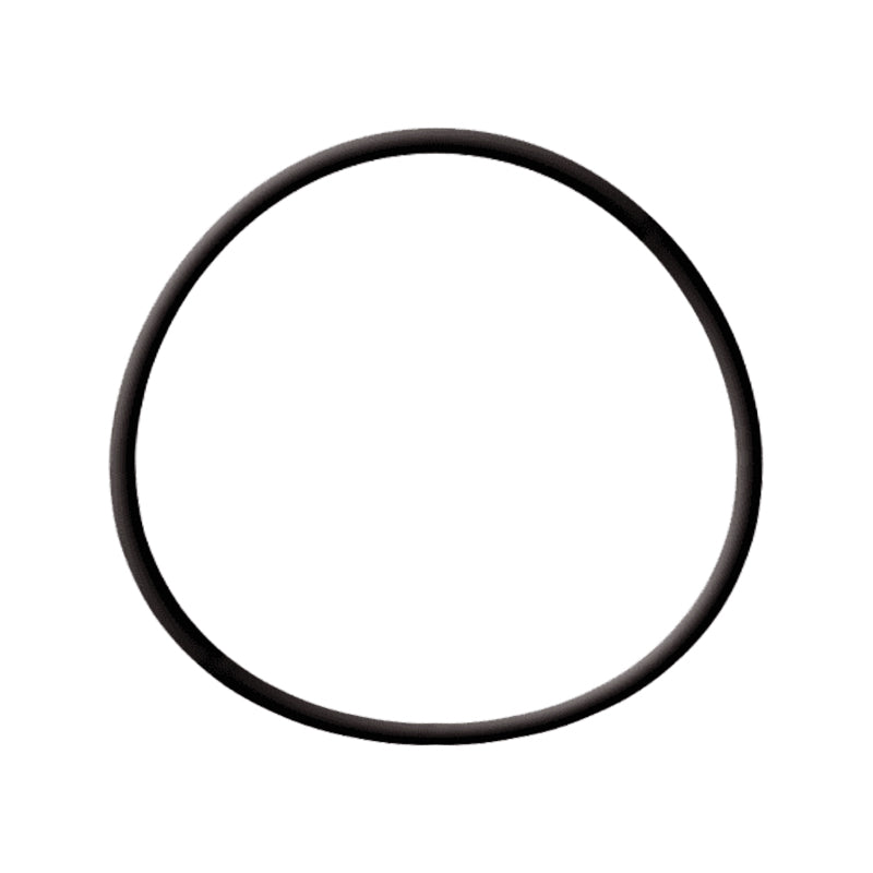 Perko Fig. 1119 Spare O-ring for Access Cap - image 1