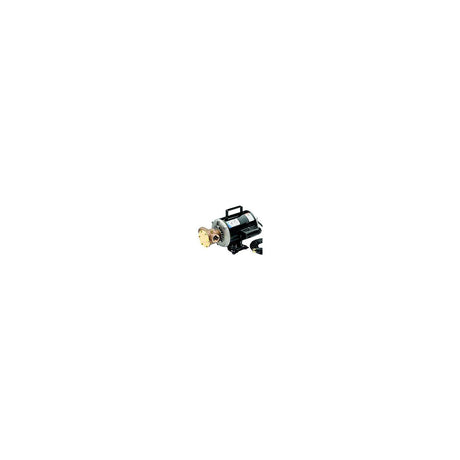 Jabsco Utility Pump w/Open Drip Proof Motor - 115V [6050-0003] - official Jabsco product image 2