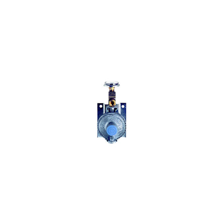 Trident Marine Single Stage Regulator w/300 PSI Gauge 20" Pigtail w/Wall Mount [1211-1401] - official Trident Marine product image 2