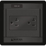 Blue Sea 1479 360 Panel - 120V AC DUal Outlet [1479]