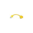 Parkpower 174ARV Locking RV Generator Adapter Cord - image 1