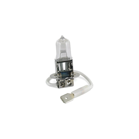 Marinco H3 Halogen Replacement Bulb f/SPL Spot Light - 12V [202319] - official Marinco product image 2