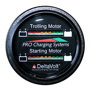 Dual Pro Battery Fuel Gauge - Marine Dual Read Battery Monitor - 12V/36V System - 15' Battery Cable - BFGWOM1536V/12V