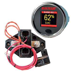 Balmar SG200 Battery Monitor Kit w/Display Shunt &amp; 10M Cable - 12-48 VDC
