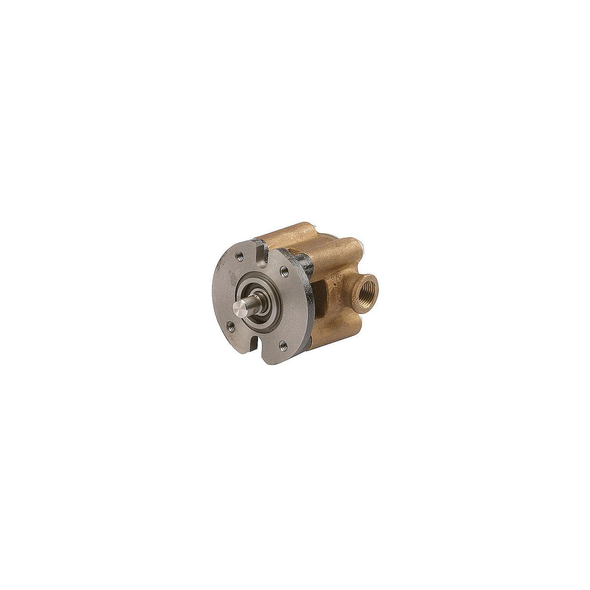 Sherwood Pump Kohler Seawater Pump - G8001