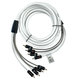 Fusion RCA Cable - 4 Channel - 12' - 010-12893-00