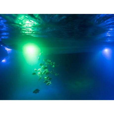 OceanLED Sport Series Colours w/Built-In Camera [012123CDN] - official OceanLED product image 3