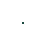 Seahawk Paint Tropikote Green Gl - 2143GL - official Seahawk Paint product image 2