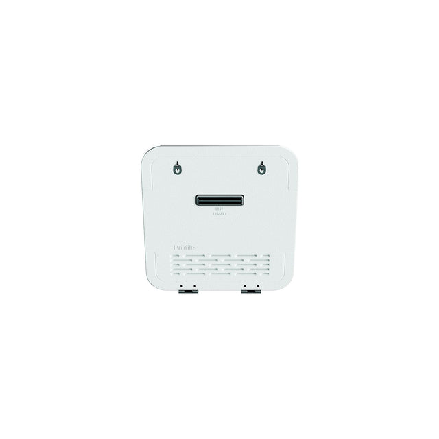 GE Appliances GE Profile PMTWRT White Door for Tankless Gas Water Heater PR60PTLWBU - image 1