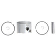 OMC PSTN&RING KIT, STD - 5007037 - image 1
