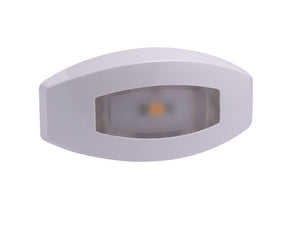 Lumitec Fiji Courtesy Light - White - Direct, MPN 101763