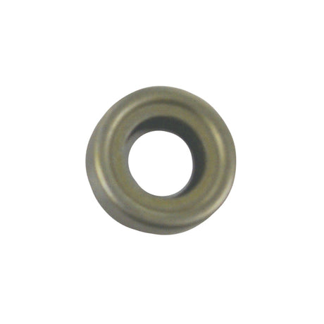 Sierra 18-0584 Chr/Force Oil Seal Marine Engine